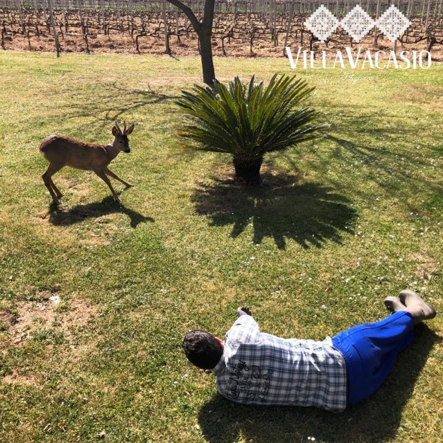 Agriturismo Eco-Bio Villa Vacasio 皮蒂利亚诺 外观 照片