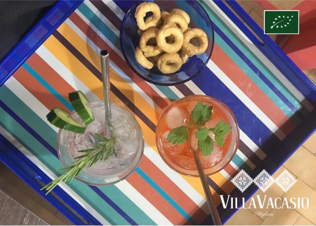Agriturismo Eco-Bio Villa Vacasio 皮蒂利亚诺 外观 照片
