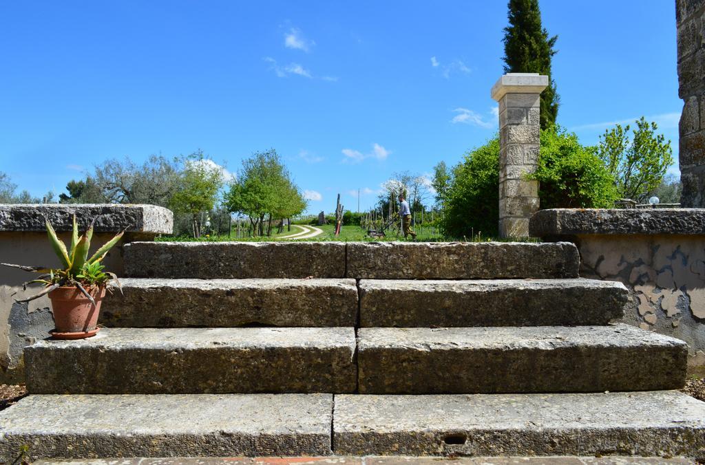 Agriturismo Eco-Bio Villa Vacasio 皮蒂利亚诺 外观 照片